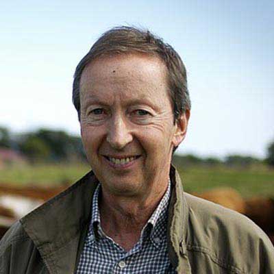 账号激活码的ddos在线攻击